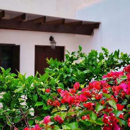 Villa Elysia - Seaview With Private Pool, Garden, Panoramic Roof Terrace And 3-min Walk To Sea *