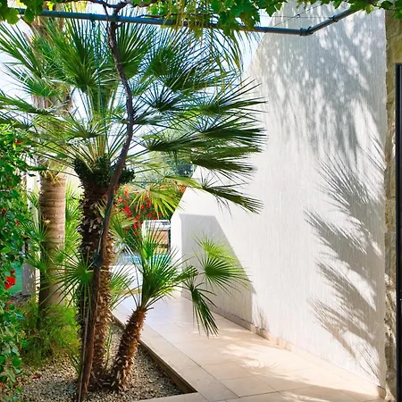 Elysia - Seaview With Private Pool, Garden, Panoramic Roof Terrace And 3-min Walk To Sea Villa Argaka